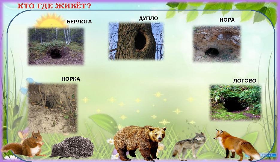 КТО ГДЕ ЖИВЁТ? БЕРЛОГА ДУПЛО НОРА ЛОГОВО НОРКА