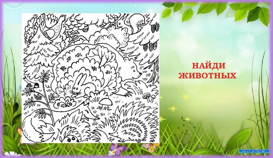 НАЙДИ ЖИВОТНЫХ