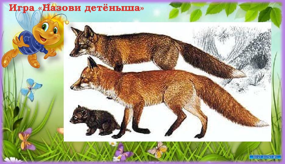 Игра «Назови детёныша»