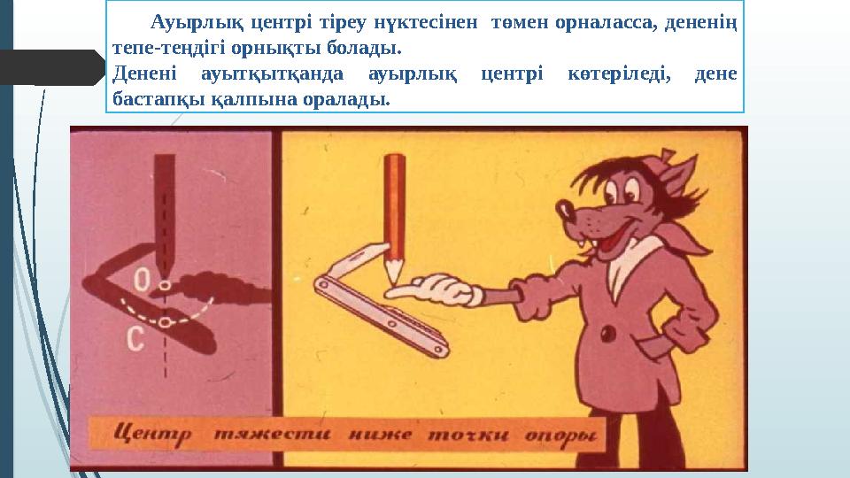 Ауырлық центрі тіреу нүктесінен төмен орналасса, дененің тепе-теңдігі орнықты болады. Денені ауытқытқанда