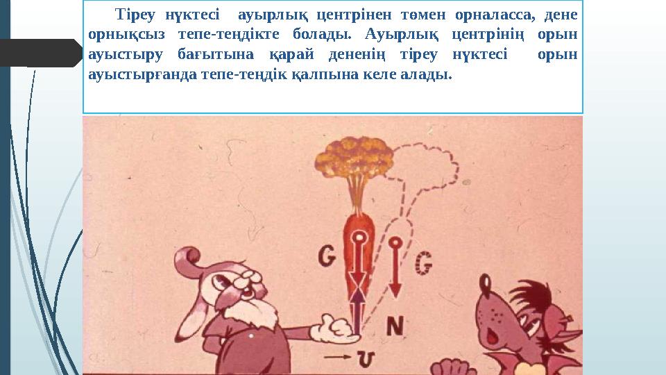 Тіреу нүктесі ауырлық центрінен төмен орналасса, дене орнықсыз тепе-теңдікте болады. Ауырлық центрінің орын