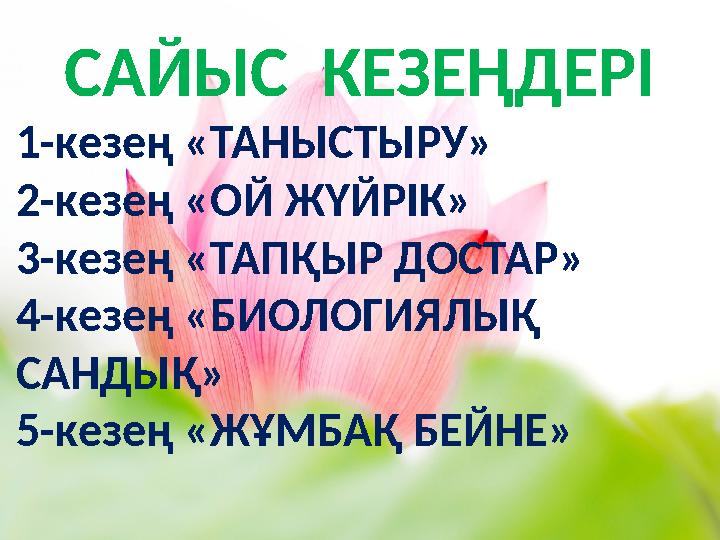 САЙЫС КЕЗЕҢДЕРІ 1-кезең «ТАНЫСТЫРУ» 2-кезең «ОЙ ЖҮЙРІК» 3-кезең «ТАПҚЫР ДОСТАР» 4-кезең «БИОЛОГИЯЛЫҚ САНДЫҚ» 5-кезең «ЖҰМБАҚ Б