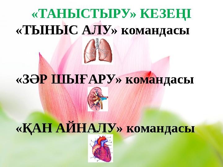 «ТАНЫСТЫРУ» КЕЗЕҢІ «ТЫНЫС АЛУ» командасы «ЗӘР ШЫҒАРУ» командасы «ҚАН АЙНАЛУ» командасы