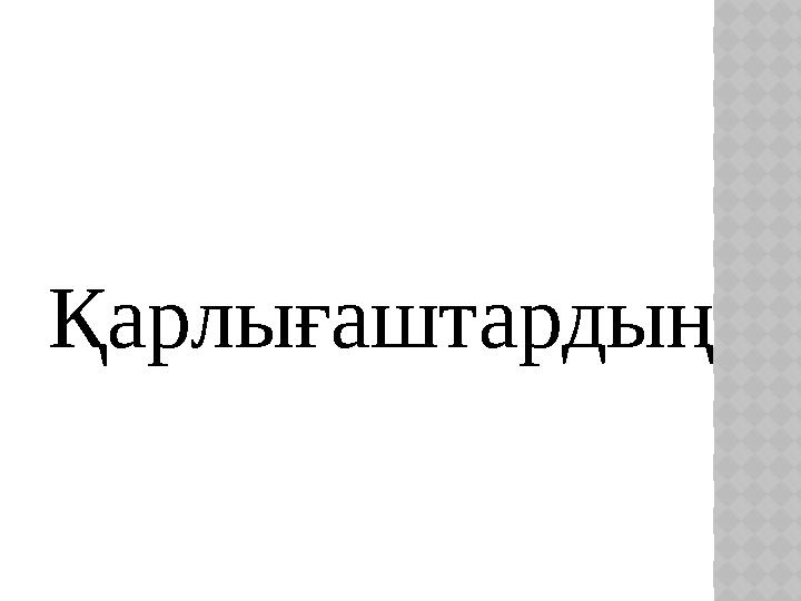 Қарлығаштардың