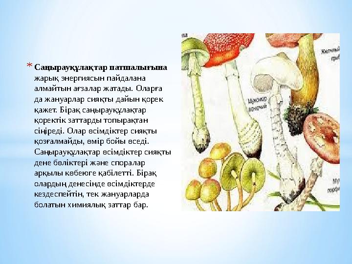 * Саңырауқұлақтар патшалығына жарық энергиясын пайдалана алмайтын ағзалар жатады. Оларға да жануарлар сияқты дайын қорек қаж