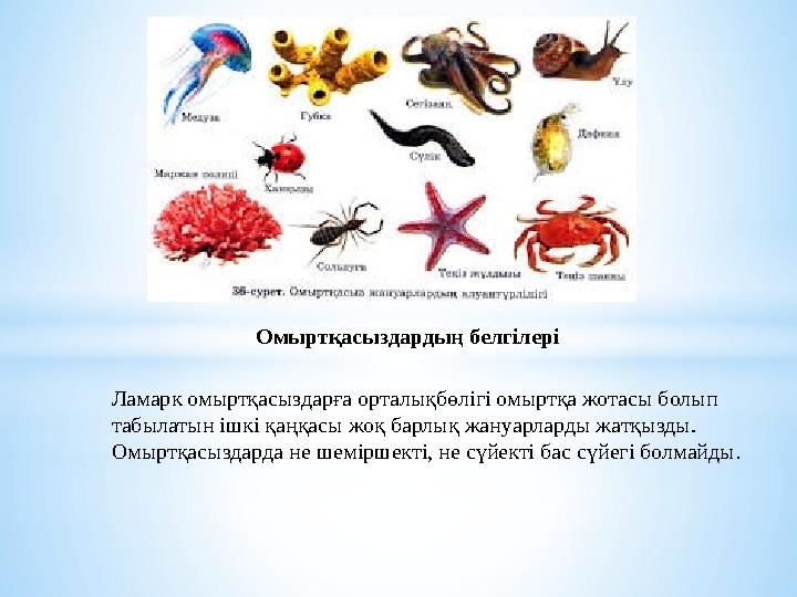 Омыртқасыздардың белгілері Ламарк омыртқасыздарға орталықбөлігі омыртқа жотасы болып табылатын ішкі қаңқасы жоқ барлық жануарла