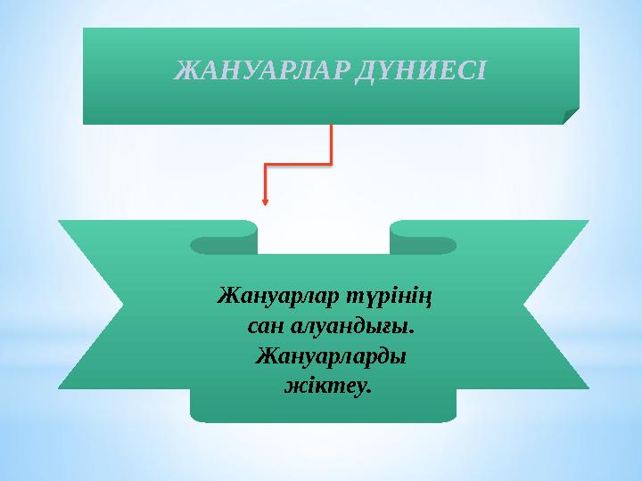 ЖАНУАРЛАР ДҮНИЕСІ Жануарлар түрінің сан алуандығы. Жануарларды жіктеу.