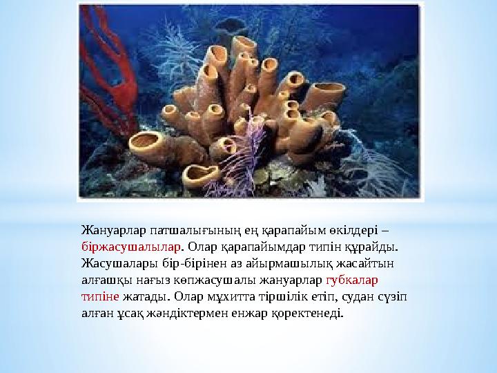 Жануарлар патшалығының ең қарапайым өкілдері – біржасушалылар . Олар қарапайымдар типін құрайды. Жасушалары бір - бірінен аз