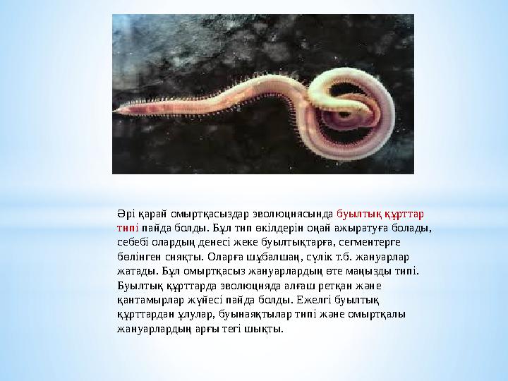 Әрі қарай омыртқасыздар эволюциясында буылтық құрттар типі пайда болды. Бұл тип өкілдерін оңай ажыратуға болады, себебі