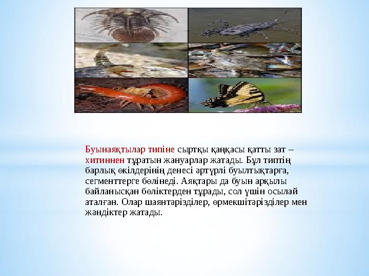 Буынаяқтылар типіне сыртқы қаңқасы қатты зат – хитиннен тұратын жануарлар жатады. Бұл типтің барлық өкілдерінің денесі әр