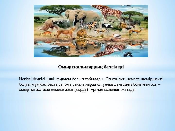 Омыртқалылардың белгілері Негізгі белгісі ішкі қаңқасы болып табылады. Ол сүйекті немесе шеміршекті болуы мүмкін. Бастысы омырт