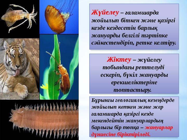 Жүйелеу – ғаламшарда жойылып біткен және қазіргі кезде кездесетін барлық жануарды белгілі тәртіпке сәйкестендіріп, ретке ке