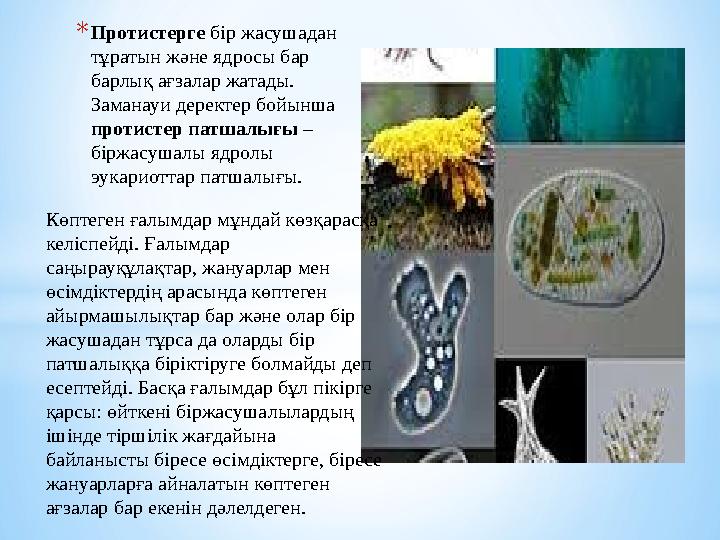 * Протистерге бір жасушадан тұратын және ядросы бар барлық ағзалар жатады. Заманауи деректер бойынша протистер патшалығы –