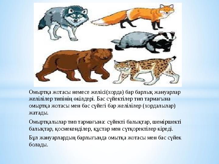 Омыртқа жотасы немесе желісі(хорда) бар барлық жануарлар желілілер типінің өкілдері. Бас сүйектілер тип тармағына омыртқа жота