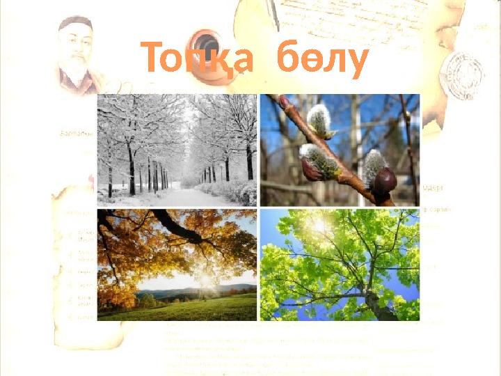 Топқа бөлу