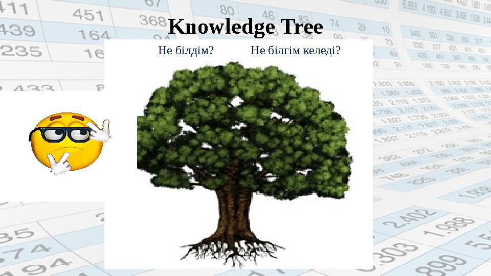 Knowledge Tree Не білдім? Не білгім келеді?