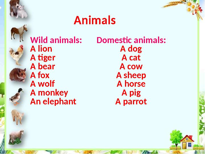 Animals Wild animals : A lion A tiger A bear A fox A wolf A monkey An elephant Domestic animals : A dog A cat A cow A sheep A ho