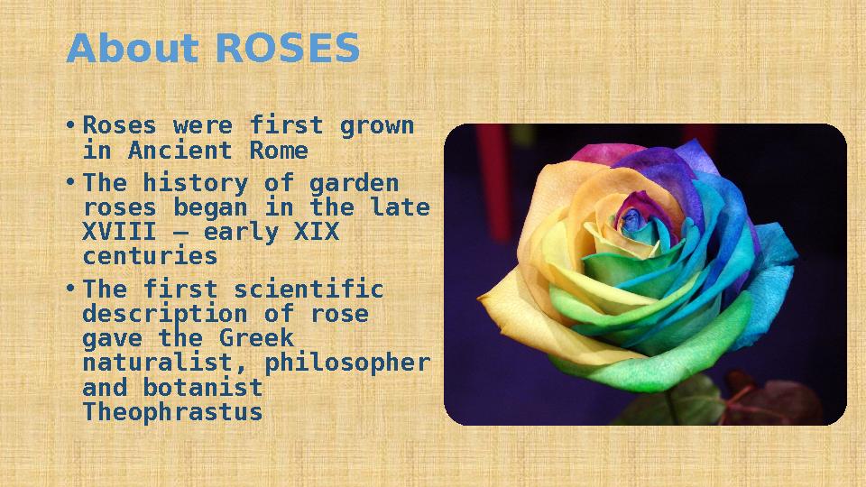 About ROSES • Roses were first grown in Ancient Rome • The history of garden roses began in the late XVIII — early XIX centu