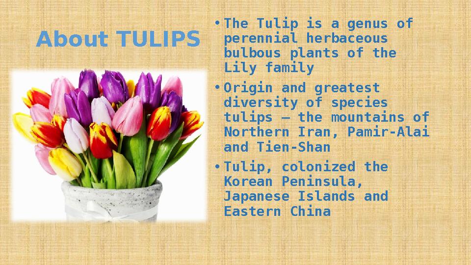 About TULIPS • The Tulip is a genus of perennial herbaceous bulbous plants of the Lily family • Origin and greatest diversit