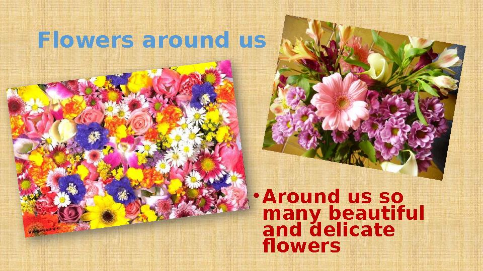 Flowers around us • Around us so many beautiful and delicate flowers