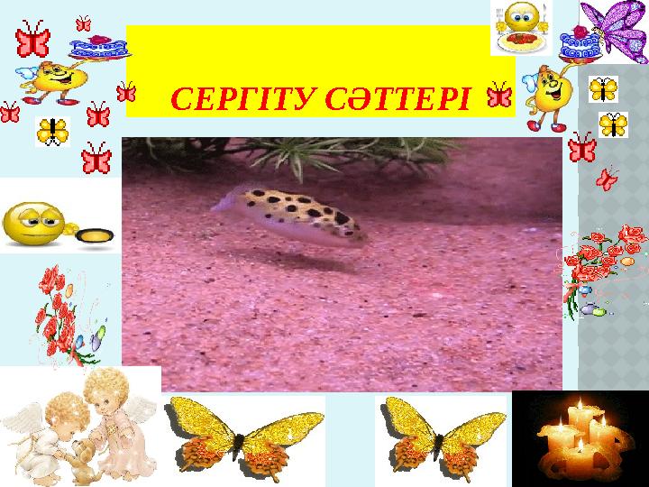 СЕРГІТУ СӘТТЕРІ