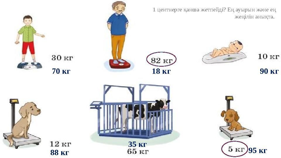 1 центнерге қанша жетпейді? Ең ауырын және ең жеңілін анықта. 70 кг 18 кг 90 кг 88 кг 35 кг 95 кг