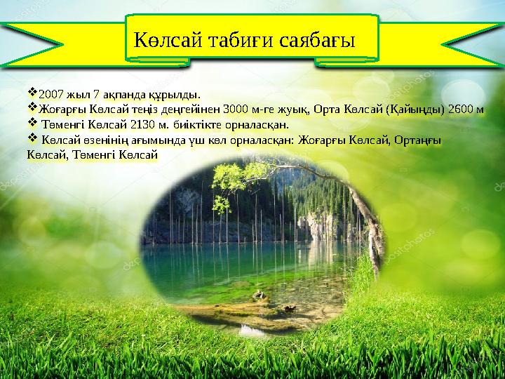  2007 жыл 7 ақпанда құрылды.  Жоғарғы Көлсай теңіз деңгейінен 3000 м-ге жуық, Орта Көлсай (Қайыңды) 2600 м  Төменгі Көлса