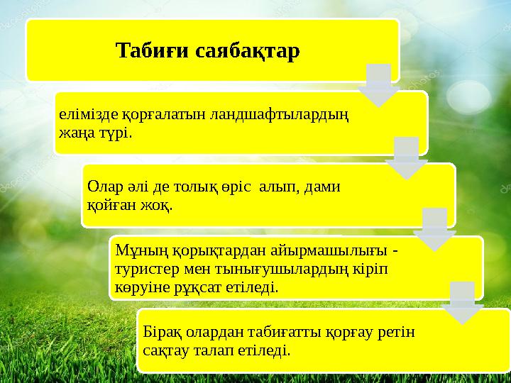 Табиғи саябақтар елімізде қорғалатын ландшафтылардың жаңа түрі. Олар әлі де толық өріс алып, дами қойған жоқ.