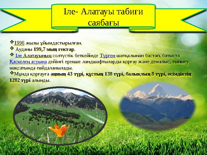 Іле- Алатауы табиғи саябағы  1996 жылы ұйымдастырылған.  Ауданы 199,7 мың гектар .  Іле Алатауының солтүстік беткей