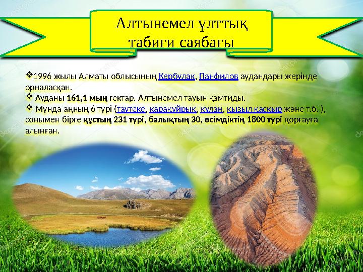  1996 жылы Алматы облысының Кербұлақ , Панфилов аудандары жерінде орналасқан.  Ауданы 161,1 мың гектар. Алтынеме