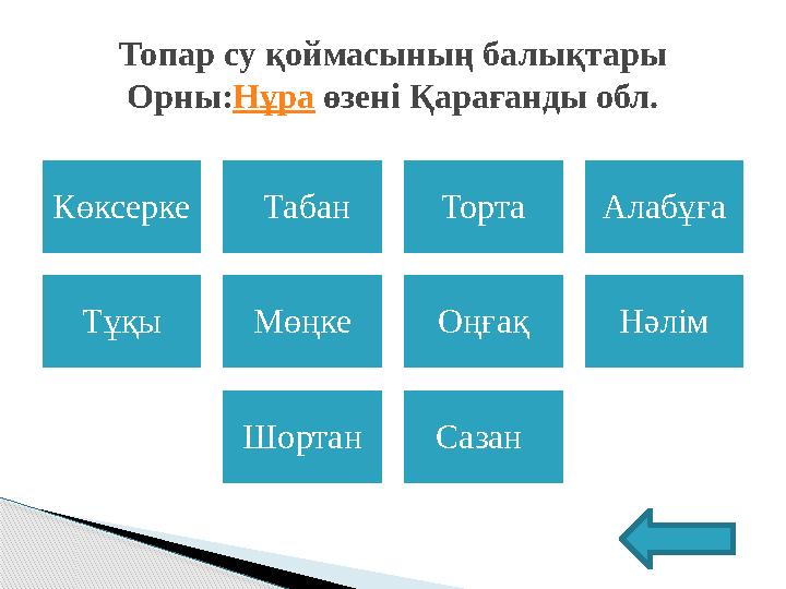 Көксерке Табан Торта Алабұға Тұқы Мөңке Оңғақ Нәлім Шортан Сазан Топар су қоймасының балықтары Орны: Нұра өзені Қарағанды обл