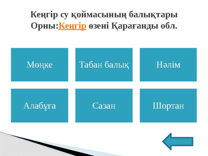 Мөңке Табан балық Нәлім Алабұға Сазан ШортанКеңгір су қоймасының балықтары Орны: Кеңгір өзені Қарағанды обл.