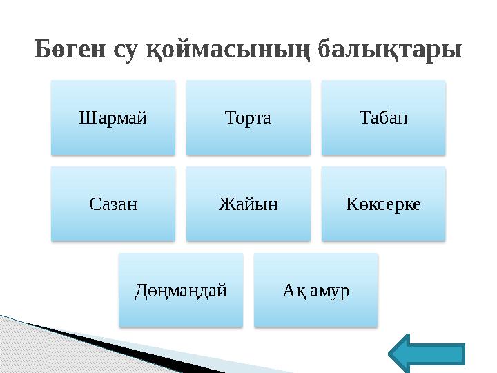 Шармай Торта Табан Сазан Жайын Көксерке Дөңмаңдай Ақ амурБөген су қоймасының балықтары