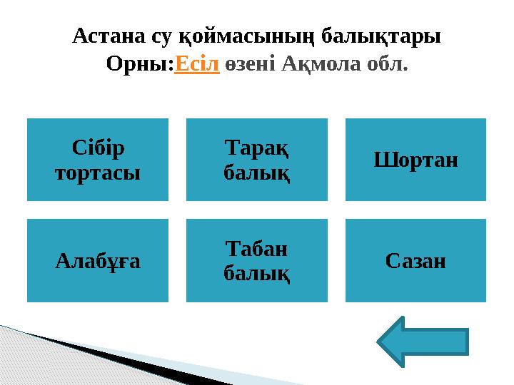 Сібір тортасы Тарақ балық Шортан Алабұға Табан балық СазанАстана су қоймасының балықтары Орны: Есіл өзені Ақмола обл.