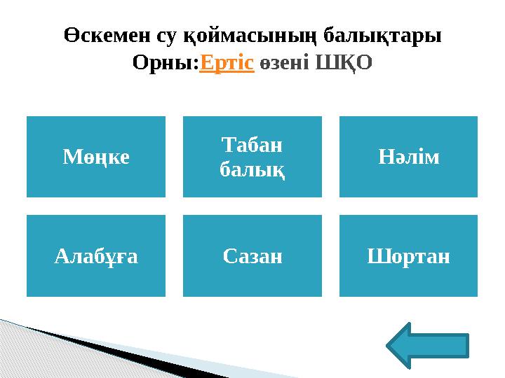 Мөңке Табан балық Нәлім Алабұға Сазан ШортанӨскемен су қоймасының балықтары Орны: Ертіс өзені ШҚО