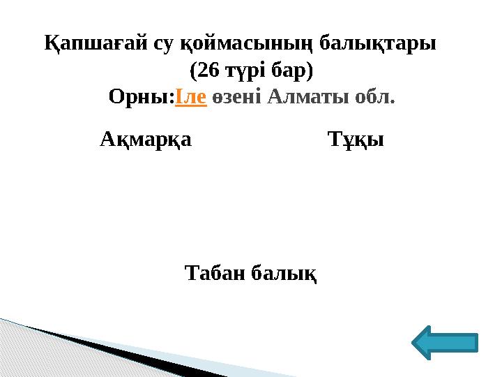 Ақмарқа Тұқы Табан балықҚапшағай су қоймасының балықтары (26 түрі бар) Орны: Іле өзені Алматы обл.