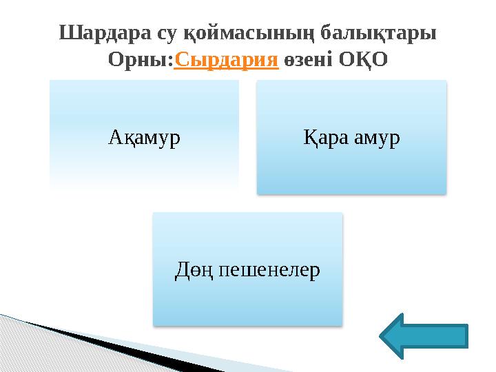 Ақамур Қара амур Дөң пешенелерШардара су қоймасының балықтары Орны: Сырдария өзені ОҚО