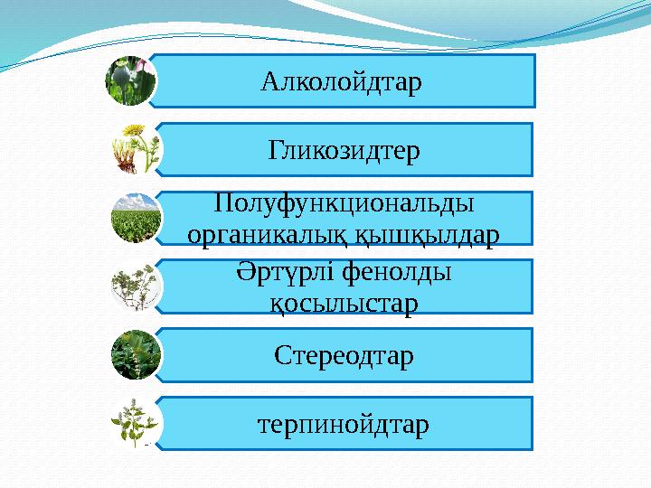 Екінші синтез заттары Алколойдтар Гликозидтер Полуфункциональды органикалық қышқылдар Әртүрлі фенолды қосылыстар Стереодтар те