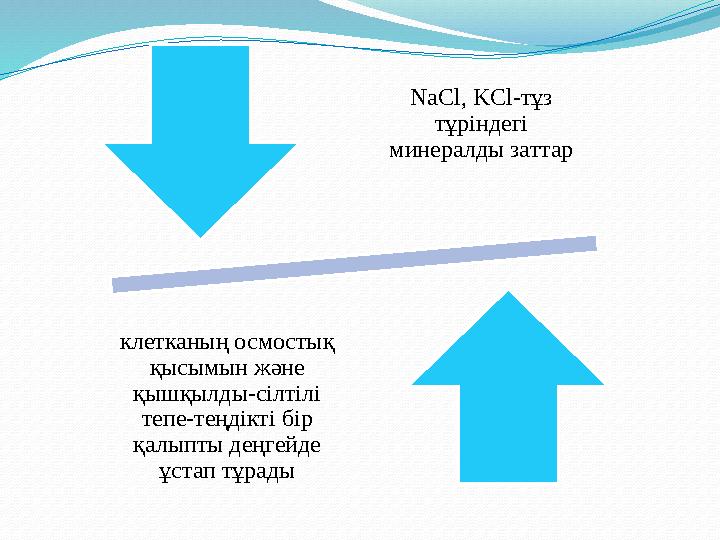 NaCl, KCl -тұз тұріндегі минералды заттар клетканың осмостық қысымын және қышқылды-сілтілі тепе-теңдікті бір қалыпты деңге