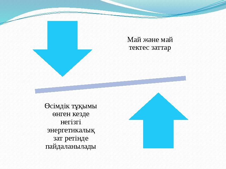 Май және май тектес заттар Өсімдік тұқымы өнген кезде негізгі энергетикалық зат ретінде пайдаланылады