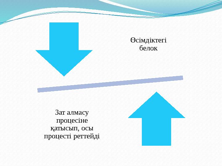 Өсімдіктегі белок Зат алмасу процесіне қатысып, осы процесті реттейді