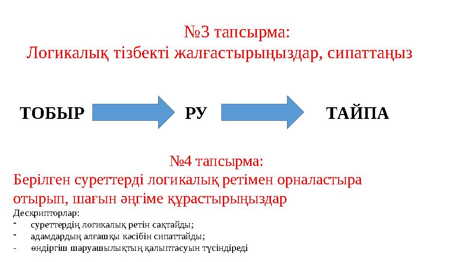 № 3 тапсырма: Логикалық тізбекті жалғастырыңыздар, сипаттаңыз ТОБЫР РУ ТАЙПА