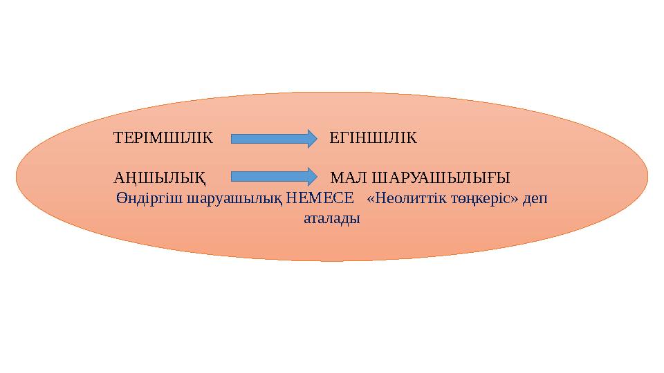 ТЕРІМШІЛІК ЕГІНШІЛІК АҢШЫЛЫҚ МАЛ ШАРУАШЫЛЫҒЫ