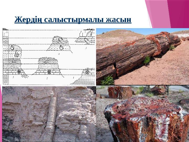 Жердің салыстырмалы жасын зерттеу жолдары