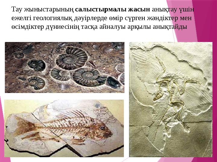 Тау жыныстарының салыстырмалы жасын анықтау үшін ежелгі геологиялық дәуірлерде өмір сүрген жәндіктер мен өсімдіктер дүниесін