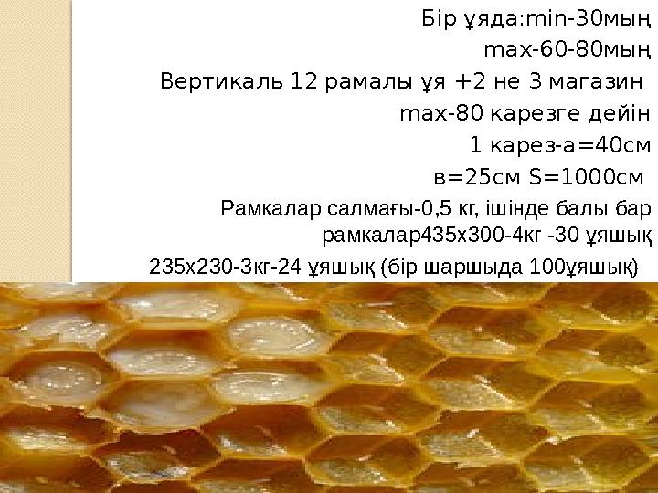 Бір ұяда: min-30 мың max- 60-80мың Вертикаль 12 рамалы ұя +2 не 3 магазин max -80 карезге дейін 1 карез-а =40 см