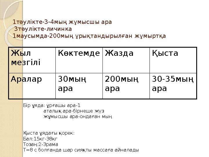 1тәулікте-3-4мың жұмысшы ара 3тәулікте-личинка 1маусымда-200мың ұрықтандырылған жұмыртқа Жыл мезгілі Көктемде Жазда Қыста Арал