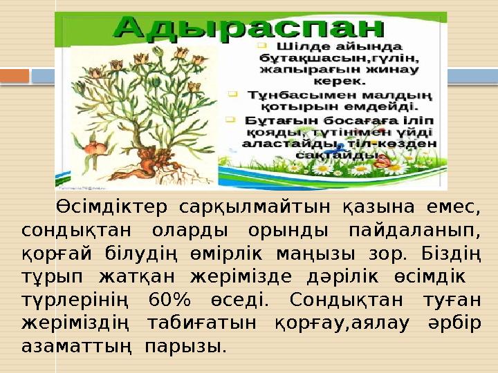 Өсімдіктер сарқылмайтын қазына емес, сондықтан оларды орынды пайдаланып, қорғай білудің өмірлік маңызы зор