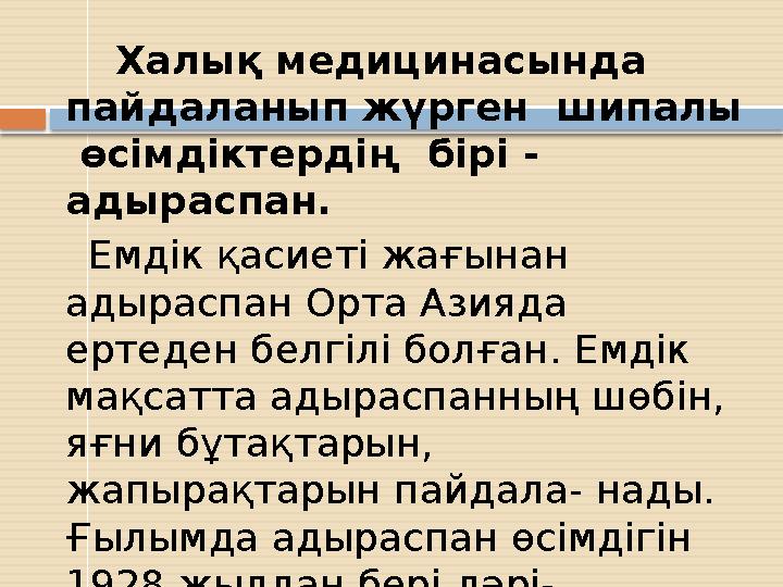 Халық медицинасында пайдаланып жүрген шипалы өсімдіктердің бірі - адыраспан. Емдік қасиеті жағынан адырасп