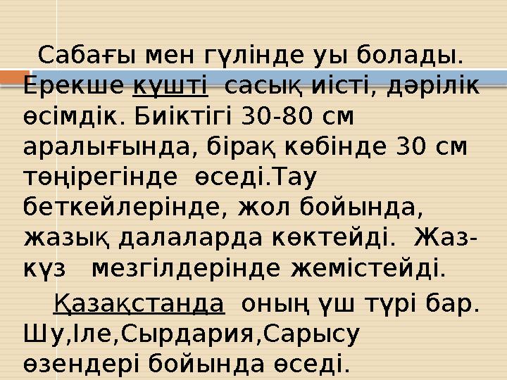 Сабағы мен гүлінде уы болады. Ерекше күшті сасық иісті, дәрілік өсімдік. Биіктігі 30-80 см аралығында, бірақ көбінде